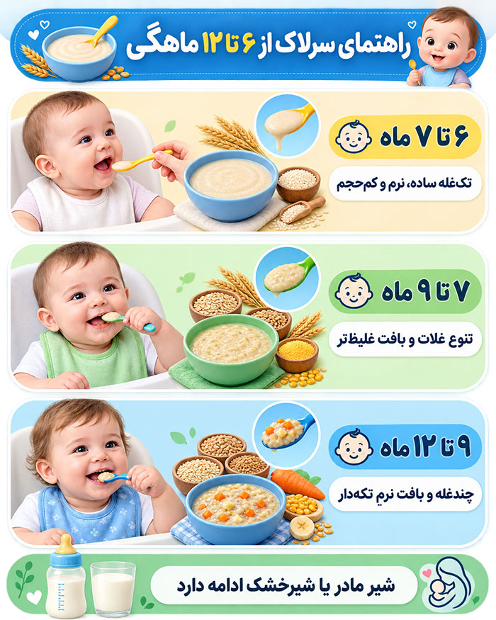 اینفوگرافیک راهنمای سرلاک از ۶ تا ۱۲ ماهگی